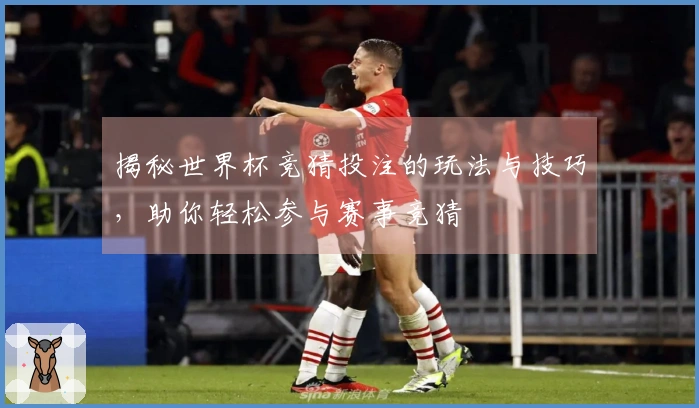 揭秘世界杯竞猜投注的玩法与技巧，助你轻松参与赛事竞猜