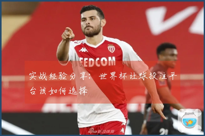 实战经验分享：世界杯让球投注平台该如何选择