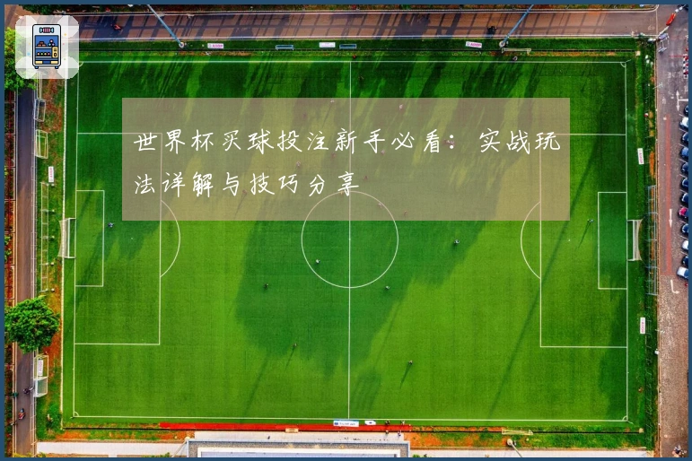 世界杯买球投注新手必看：实战玩法详解与技巧分享