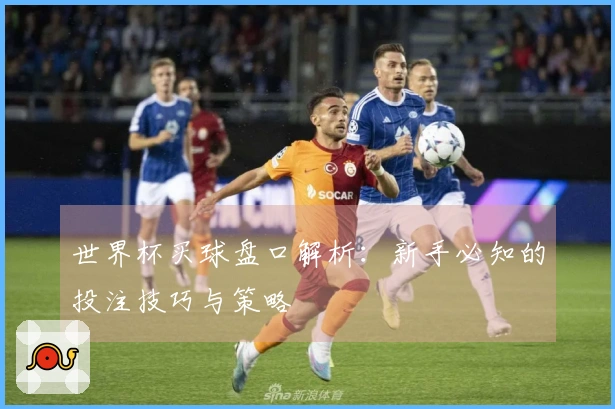 世界杯买球盘口解析:新手必知的投注技巧与策略