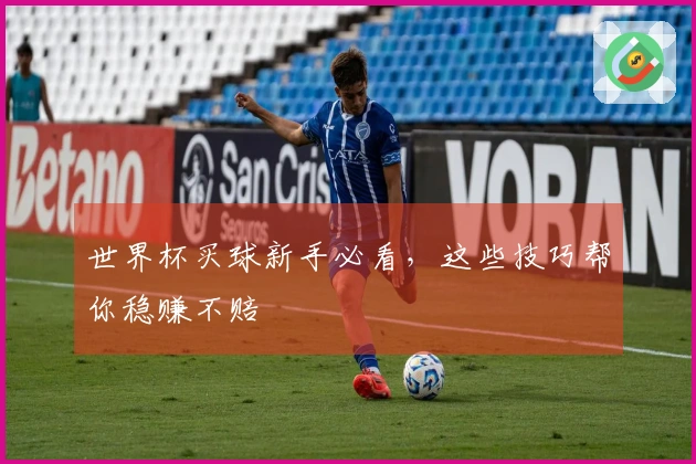世界杯买球新手必看，这些技巧帮你稳赚不赔
