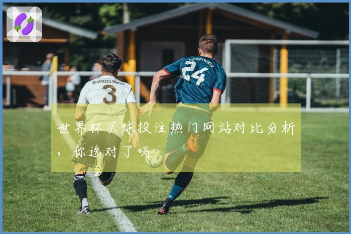 世界杯买球投注热门网站对比分析，你选对了吗