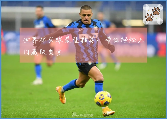世界杯买球最佳推荐，带你轻松入门赢取奖金