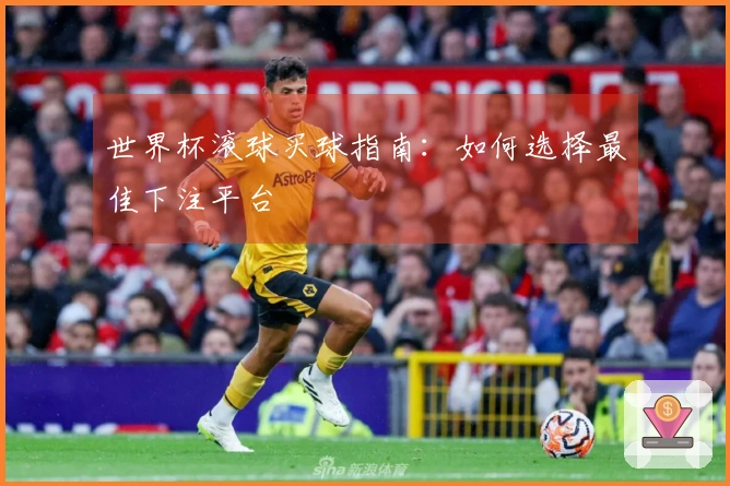 世界杯滚球买球指南：如何选择最佳下注平台