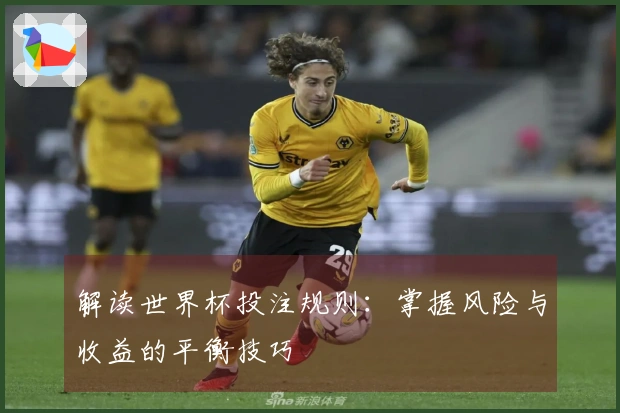 解读世界杯投注规则：掌握风险与收益的平衡技巧