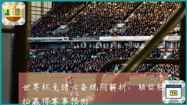 世界杯竞猜必备规则解析，助你轻松赢得赛事预测