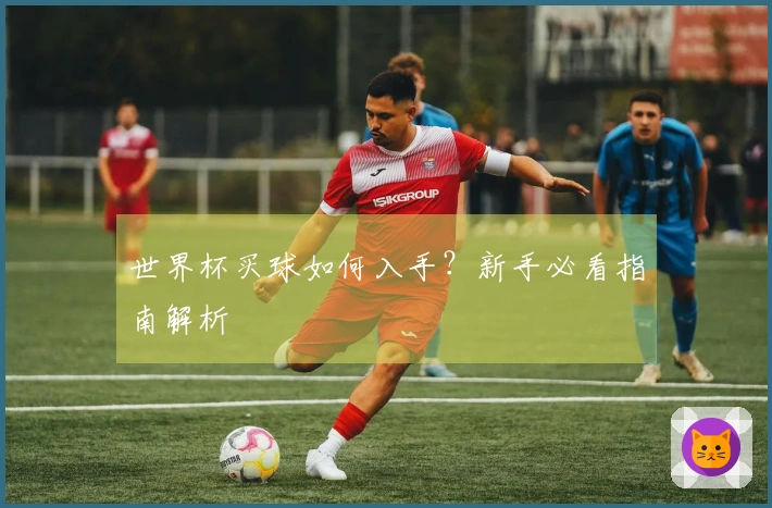 世界杯买球如何入手？新手必看指南解析