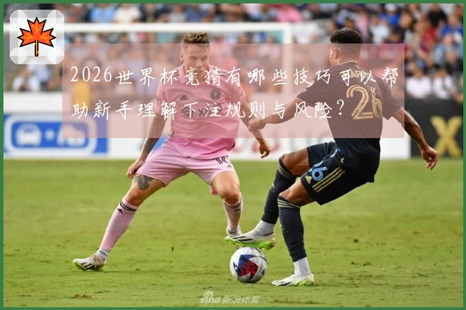 2026世界杯竞猜有哪些技巧可以帮助新手理解下注规则与风险？