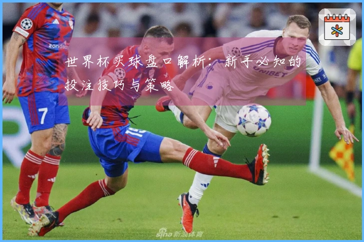 世界杯买球盘口解析：新手必知的投注技巧与策略