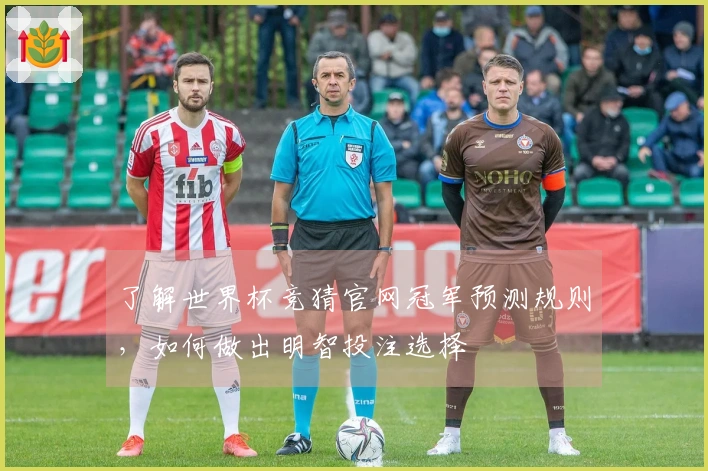 了解世界杯竞猜官网冠军预测规则，如何做出明智投注选择