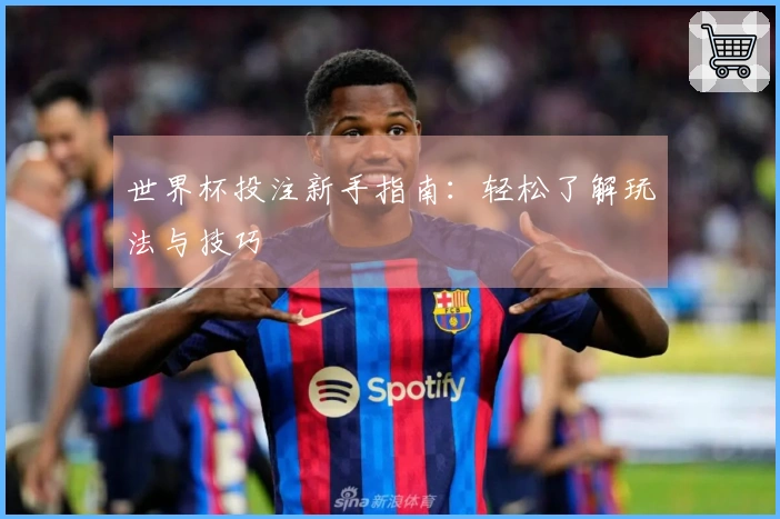 世界杯投注新手指南：轻松了解玩法与技巧
