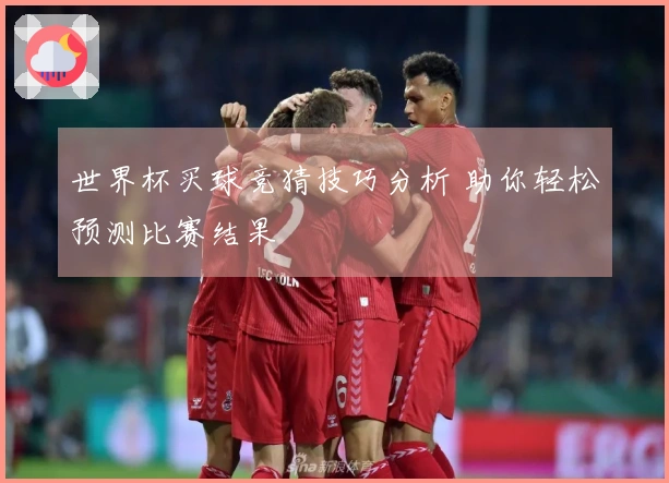 世界杯买球竞猜技巧分析 助你轻松预测比赛结果