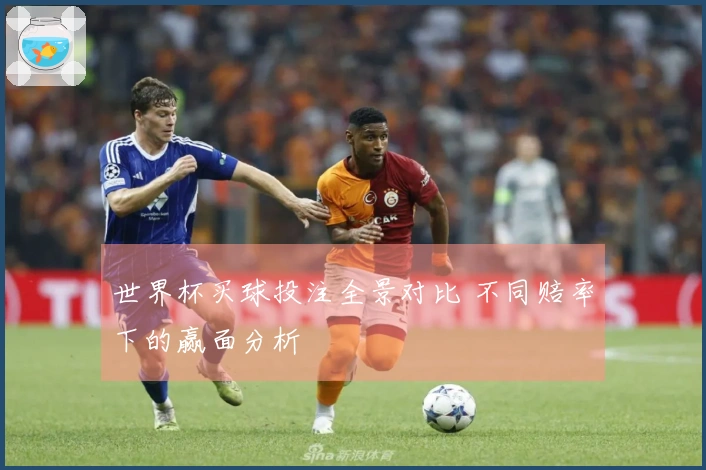 世界杯买球投注全景对比 不同赔率下的赢面分析
