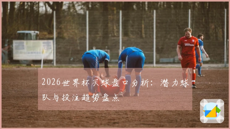 2026世界杯买球盘口分析:潜力球队与投注趋势盘点