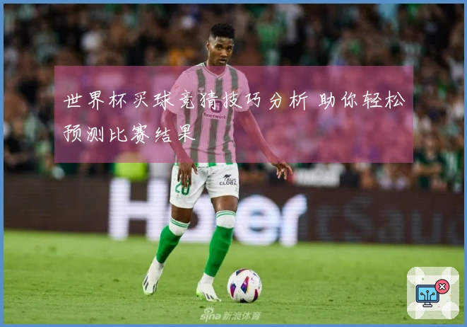 世界杯买球竞猜技巧分析 助你轻松预测比赛结果