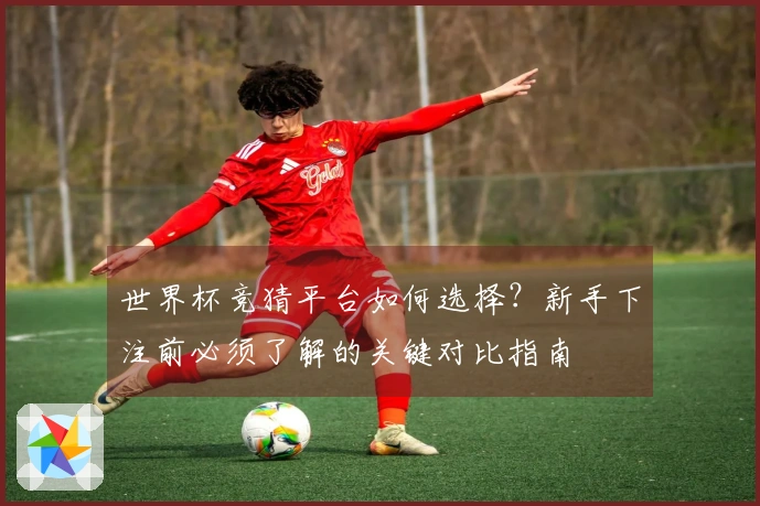 世界杯竞猜平台如何选择？新手下注前必须了解的关键对比指南