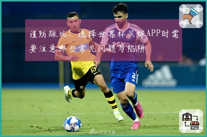 谨防踩坑！选择世界杯买球APP时需要注意哪些常见问题与陷阱