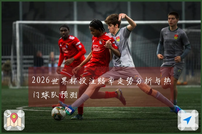 2026世界杯投注赔率走势分析与热门球队预测