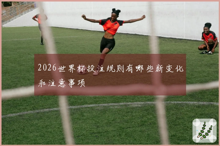 2026世界杯投注规则有哪些新变化和注意事项