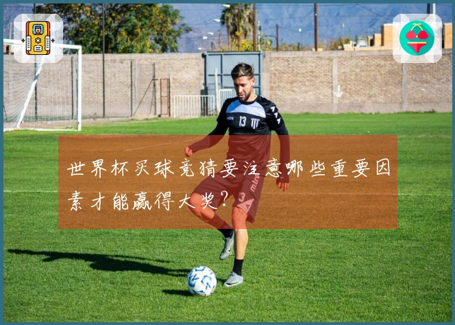 世界杯买球竞猜要注意哪些重要因素才能赢得大奖？