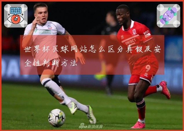 世界杯买球网站怎么区分真假及安全性判断方法