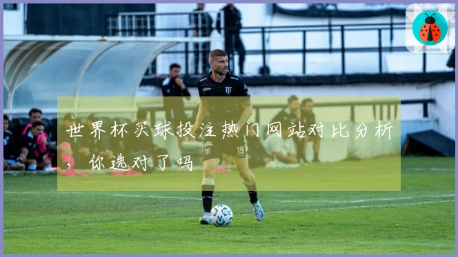 世界杯买球投注热门网站对比分析，你选对了吗