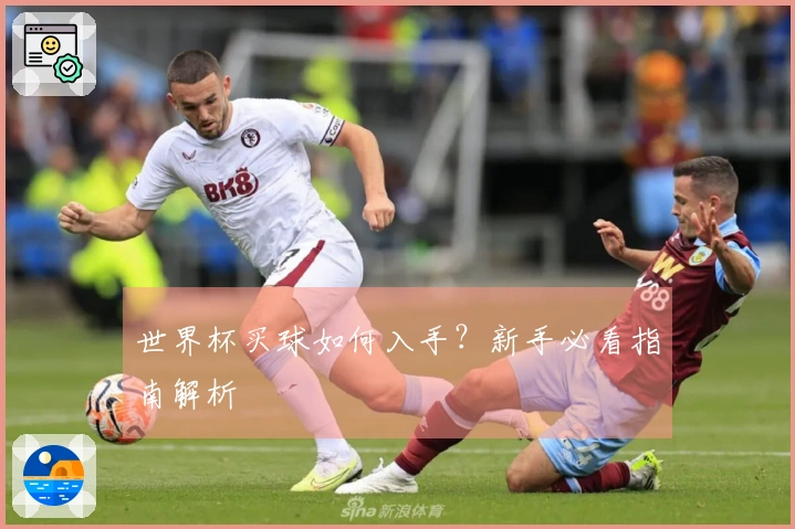 世界杯买球如何入手？新手必看指南解析