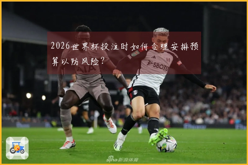 2026世界杯投注时如何合理安排预算以防风险？