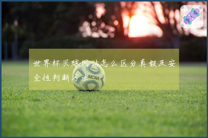 世界杯买球网站怎么区分真假及安全性判断方法