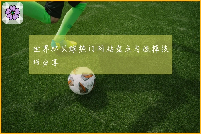 世界杯买球热门网站盘点与选择技巧分享