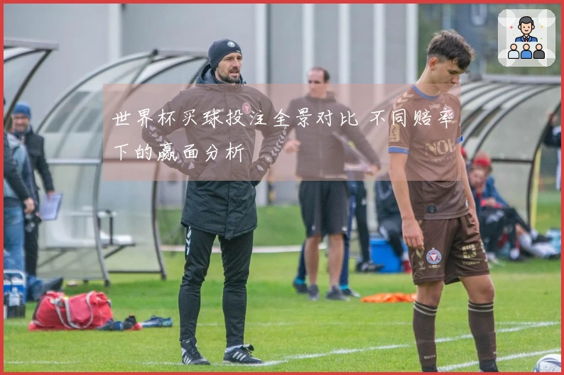 世界杯买球投注全景对比 不同赔率下的赢面分析