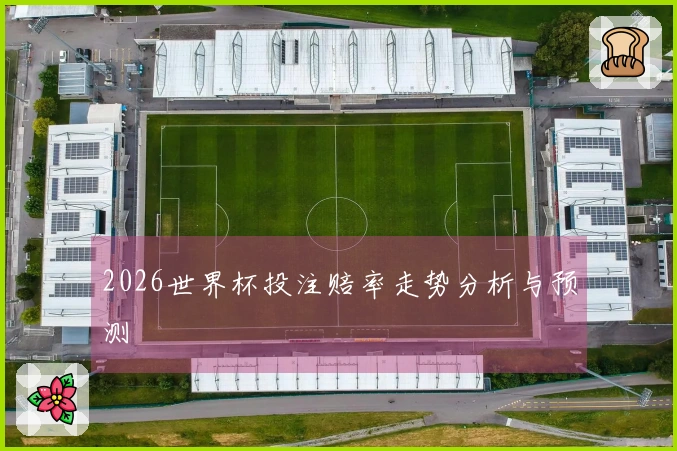 2026世界杯投注赔率走势分析与预测
